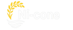 Ni-cone